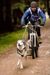 bikejoring.jpg