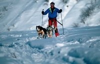 skijoring2.jpg