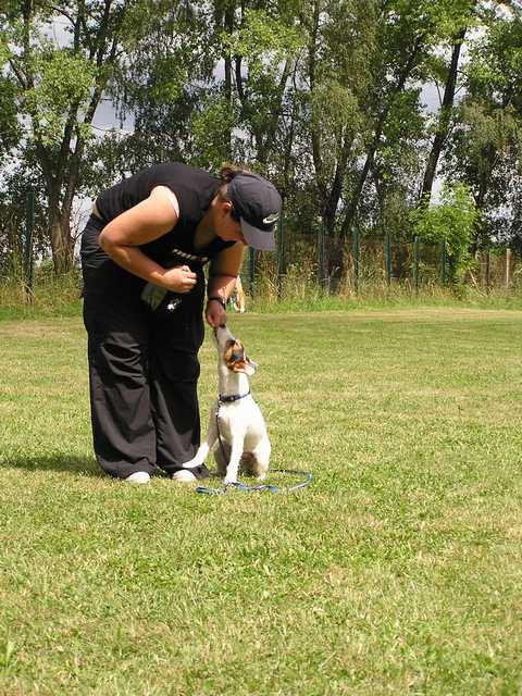 28.6.2008_obedience_seminar_050.JPG
