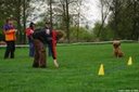 DSC_9796.jpg
